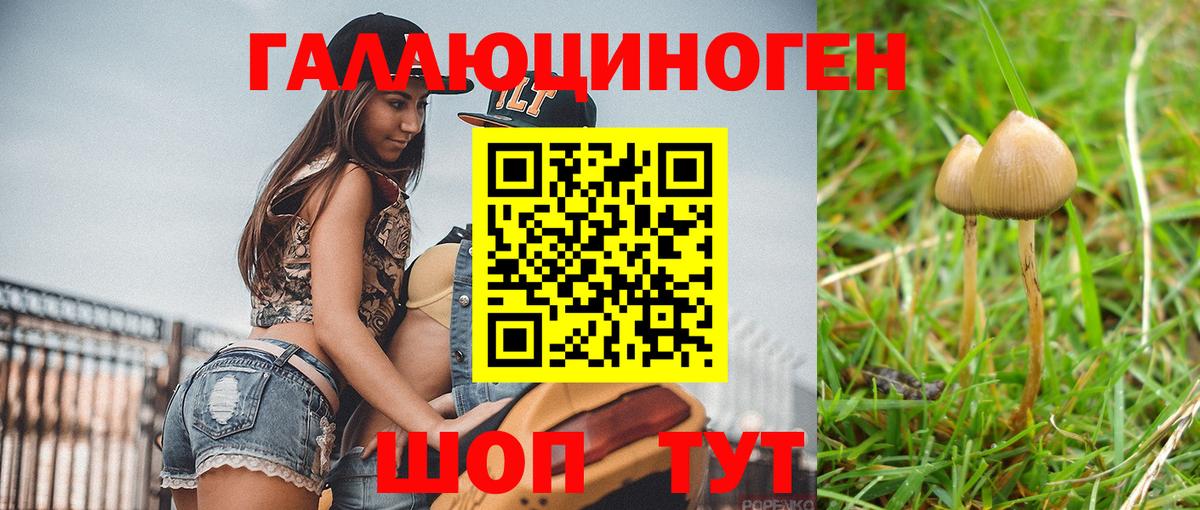 Борзя  Галлюциногенные грибы MAGIC MUSHROOMS  Вход с VPN 